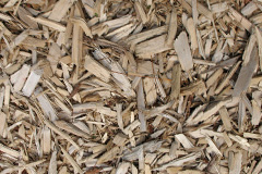 biomass boilers Sapperton